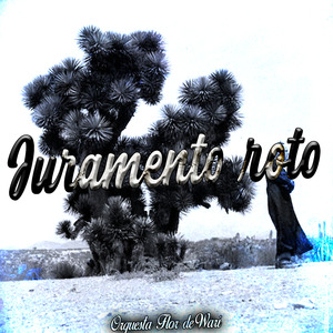 Juramento Roto