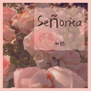 Señorita（翻自 Shawn Mendes）