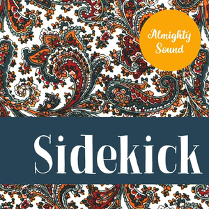 Sidekick