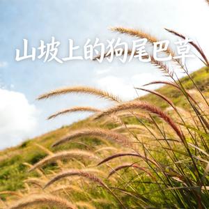 山坡上的狗尾巴草