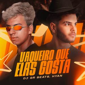 Vaqueiro Que Elas Gosta (Piseiro)