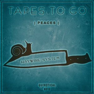 Haywire System (Original Mix)