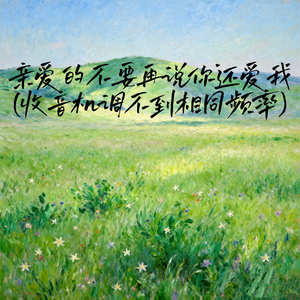 亲爱的不要再说你还爱我 (收音机调不到相同频率)