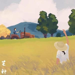 芒种（钢琴治愈版）