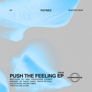 Push The Feeling