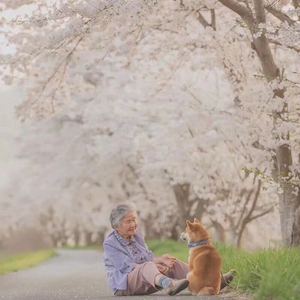 可能否（翻自 木小雅）