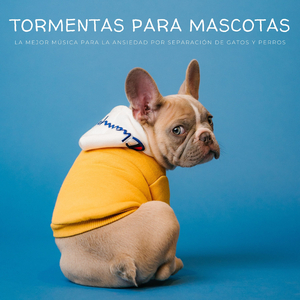 Amante De Los Animales