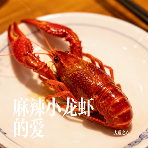 麻辣小龙虾的爱
