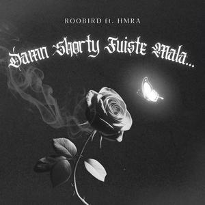 Damn Shorty Fuiste Mala (feat. HMRA)