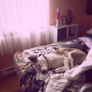 before the break of dawn