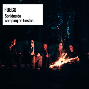 Rain by Campsite Sounds