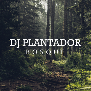 Bosque