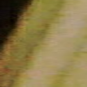 Strong Black African Woman