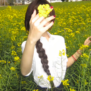 油菜花开不见她