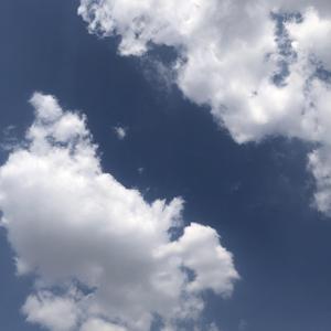 你是清晨时的一缕阳光