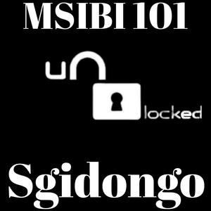 Sgidongo 101