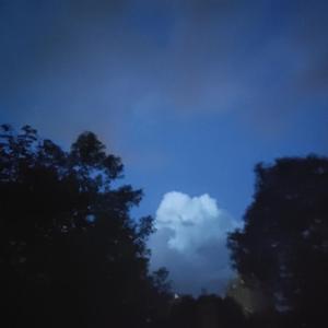 ivan蛋挞-18（飞鼠 remix）