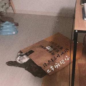 就算错过早高峰的地铁也要抱住你