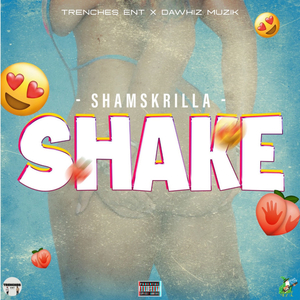 Shake