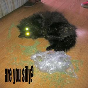 silly squad (feat. lungskull, Skkipyyy & so so)