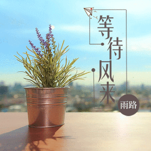 等待风来