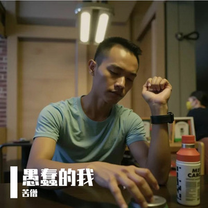 愚蠢的我 伴奏