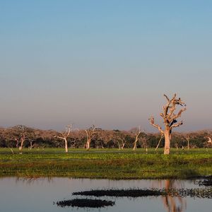 月亮代表我的心