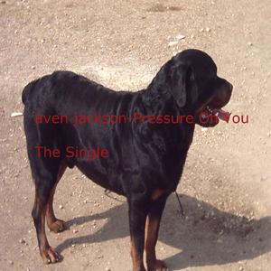 Fanatic (pressure on you)