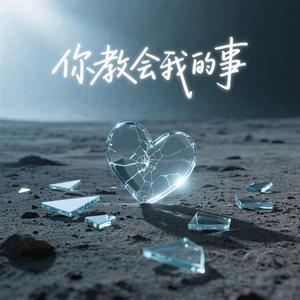 你教会我的事（语录版）