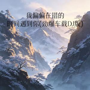 我偏偏在错的时间遇到你(劲爆车载DJ版)