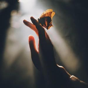 不是你不够好，是他欣赏不了