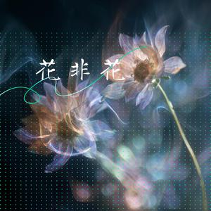 花非花 (雾非雾)
