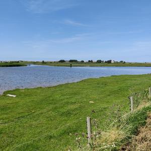 Tekalas (Accomodati)