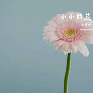 小小的花
