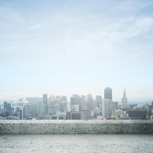 Обрывки слов