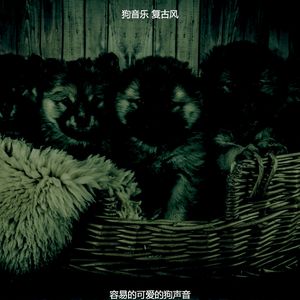 安静的孤独的狗声音