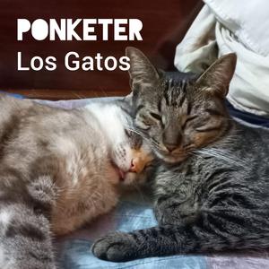 Los gatos
