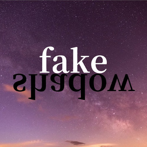 fake shadow (feat. YUINA)