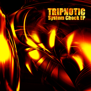System Check (Akasha FX Remix)