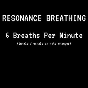12 Breaths @ 6 Per Minute (2 Minutes)