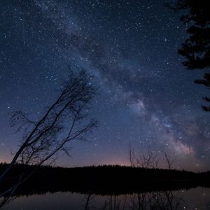 Las Estrellas De Arriba