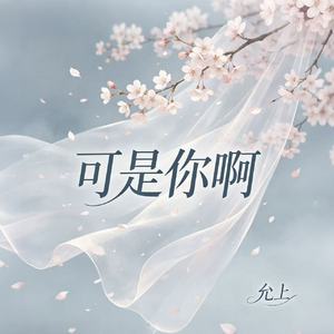 可是你啊