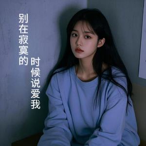 别在寂寞的时候说爱我