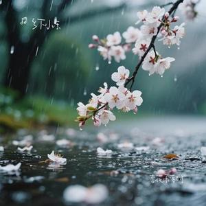 杏花雨落时