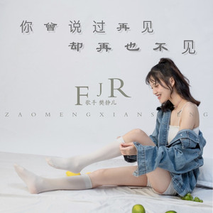 你曾说过再见却再也不见