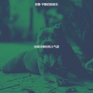 安静的放松的狗声音