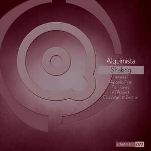 Shaking (Original Mix)