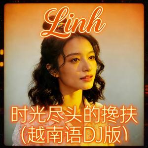 时光尽头的搀扶（越南DJ版） (Mix)