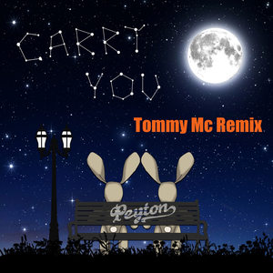 Carry You (Tommy Mc Instrumental Remix)