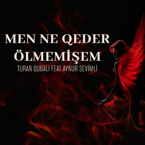 Men Ne Qeder Ölmemişem